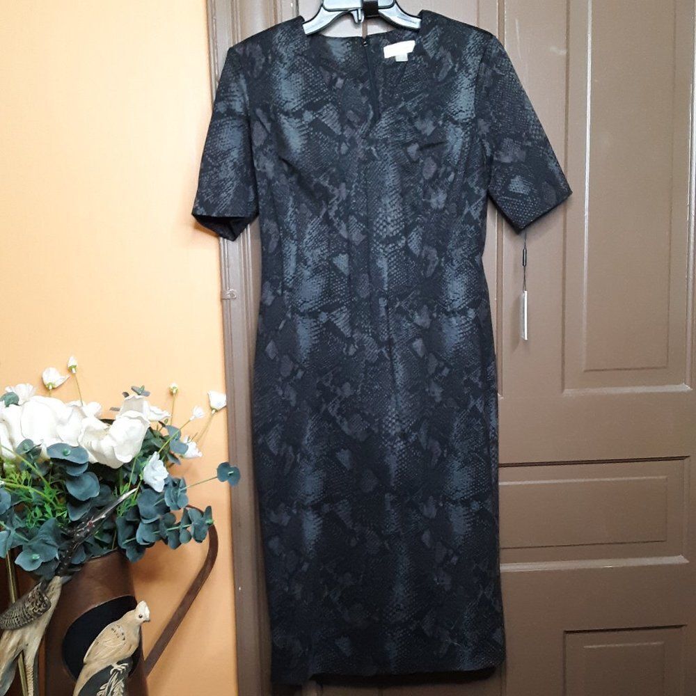 Calvin Klein Women's size 6 V Neck Evening Dress